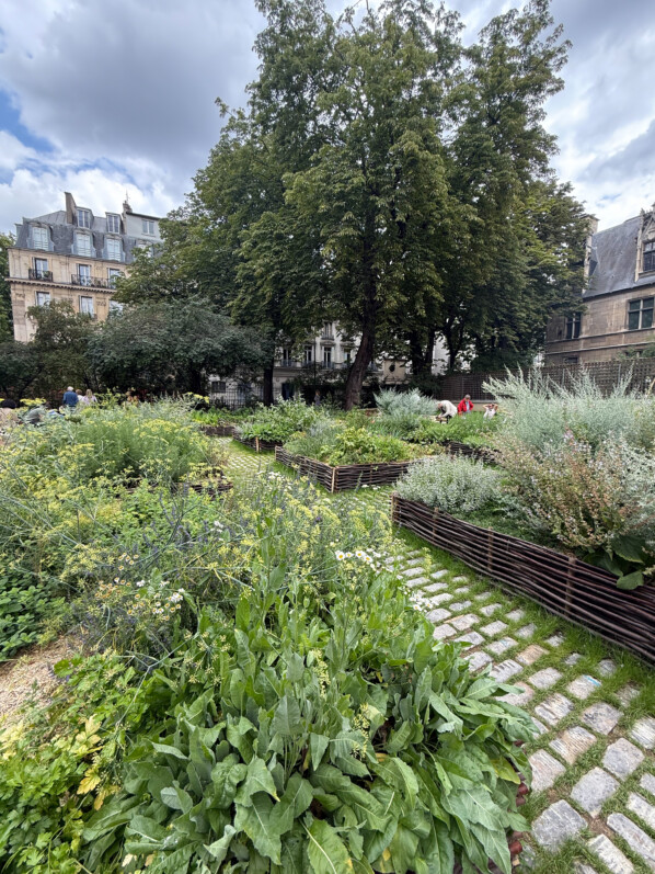découvrez nos solutions d’aménagement extérieur à paris pour 2025 : création de jardins, terrasses et espaces verts sur mesure. transformez vos extérieurs avec des experts passionnés.