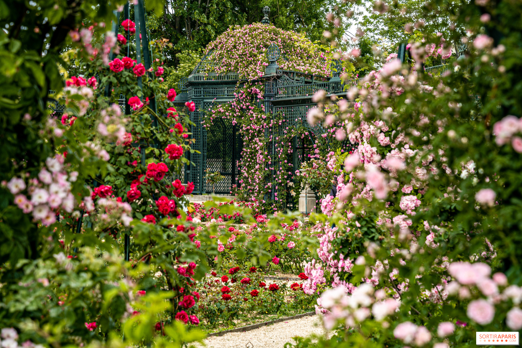 découvrez nos solutions d'aménagement extérieur à paris pour 2025 : création de jardins, terrasses, espaces verts et conseils sur-mesure pour valoriser vos extérieurs en harmonie avec l'urbanisme parisien.