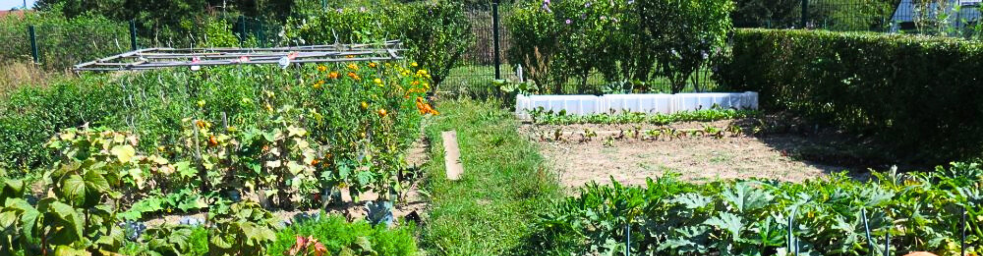 découvrez le jardin du val-de-grâce en 2026 : un espace historique et verdoyant à paris, idéal pour une balade ou une pause détente, alliant patrimoine et nature en plein cœur de la ville.