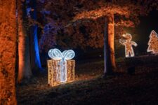 découvrez les meilleures sources de lumières naturelles à paris 5 : conseils, lieux incontournables et astuces pour profiter pleinement de la lumière du jour dans le 5e arrondissement parisien.