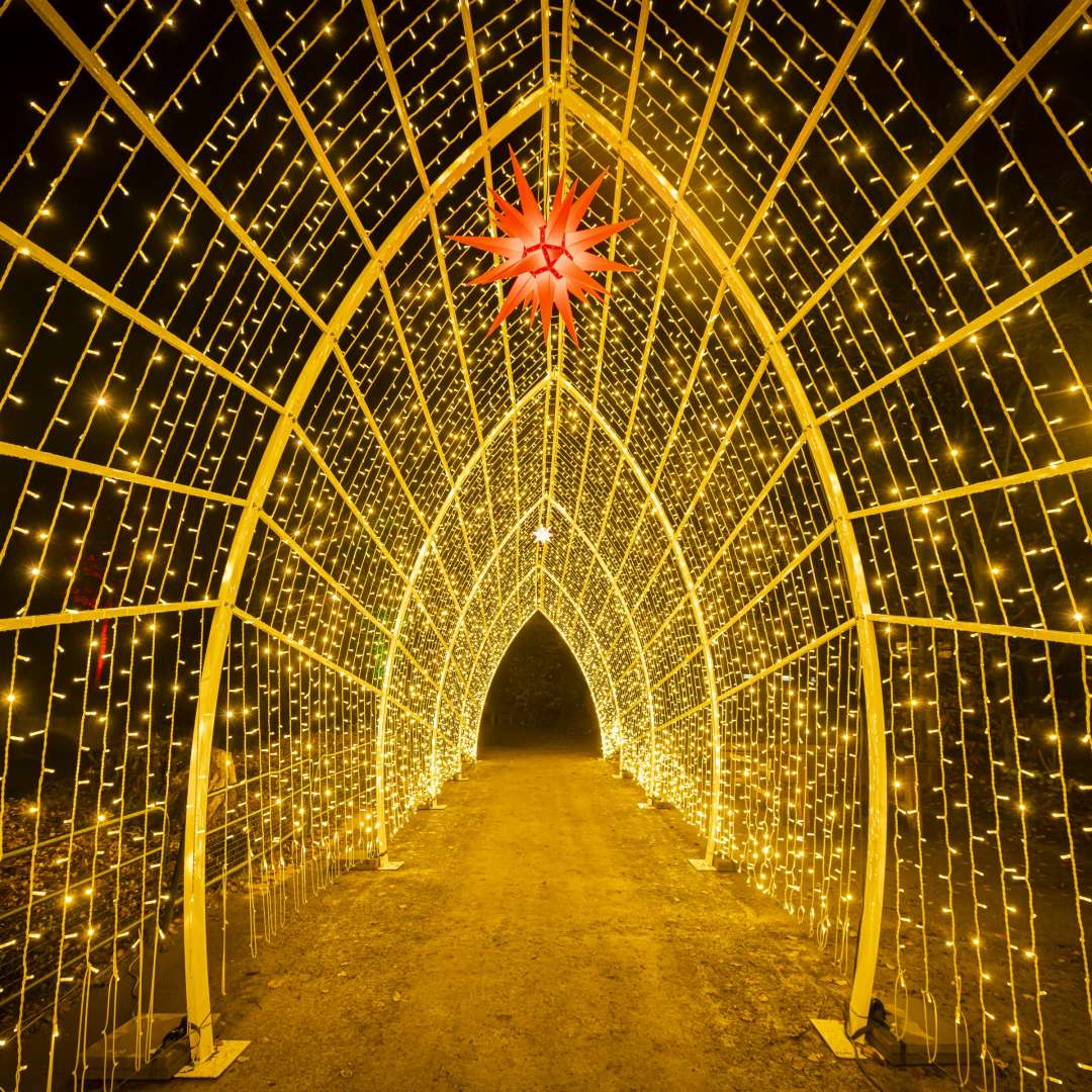 découvrez les plus beaux endroits pour profiter de la lumière naturelle à paris 5. conseils, adresses et astuces pour illuminer votre quotidien dans le 5ème arrondissement.