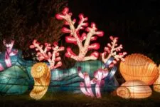 découvrez comment profiter des lumières naturelles à paris 5. conseils, astuces et lieux incontournables pour illuminer votre intérieur dans le 5ᵉ arrondissement de paris.