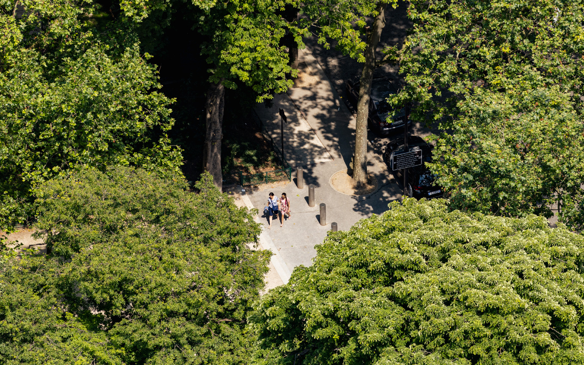 découvrez les meilleures entreprises de rénovation à paris 75005 en 2025 : conseils, avis, réalisations et toutes les solutions pour réussir vos travaux dans le 5e arrondissement.