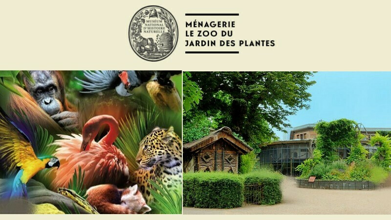 découvrez la ménagerie du jardin des plantes à paris, l’un des plus anciens zoos du monde, abritant plus de 180 espèces d’animaux rares et menacés, dans un cadre historique et verdoyant idéal pour une visite en famille.