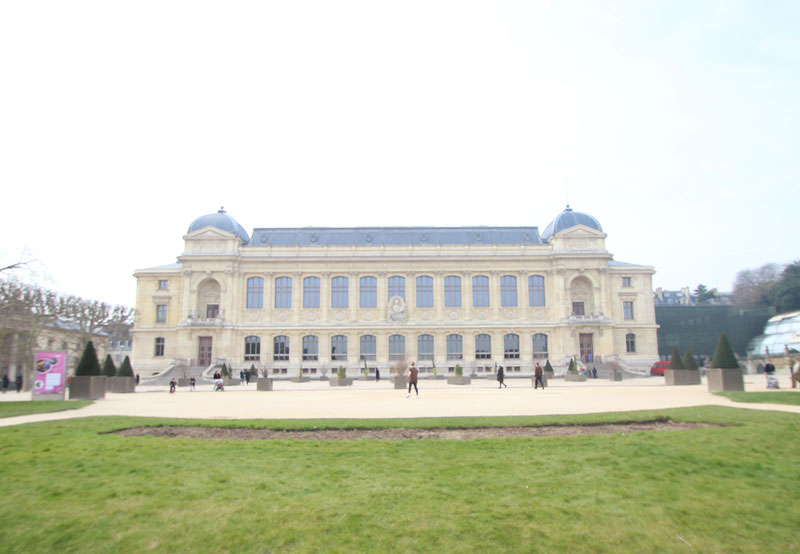 découvrez les meilleures adresses de plantes déco à paris 5 pour sublimer votre intérieur avec des végétaux tendance, conseils et idées déco à deux pas du quartier latin.
