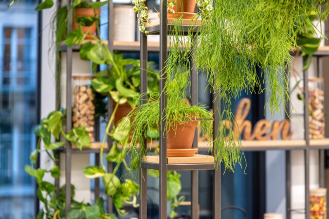 découvrez les avantages de la biophilie à paris 5 : améliorez votre bien-être, votre créativité et la qualité de votre environnement en intégrant la nature dans votre quotidien.