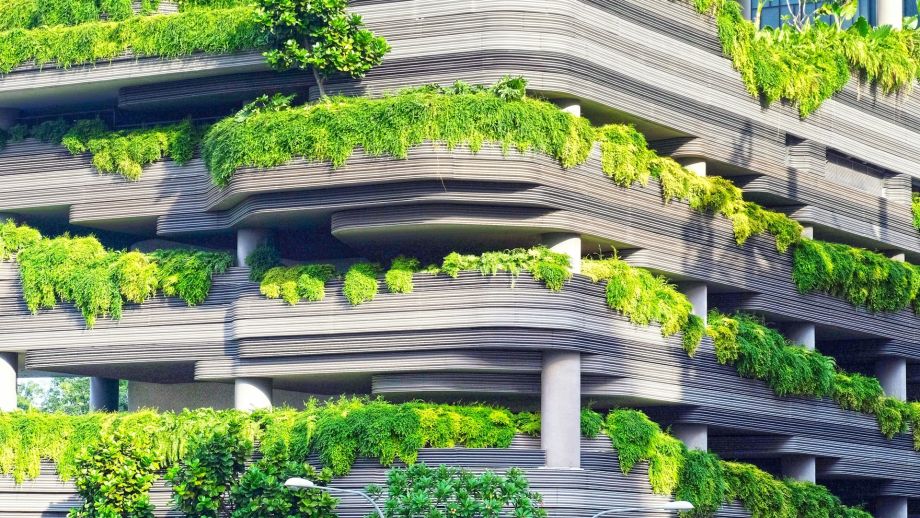 découvrez les avantages de la biophilie à paris 5 : améliorez votre bien-être, boostez la créativité et favorisez un environnement plus sain grâce à l’intégration de la nature en milieu urbain.