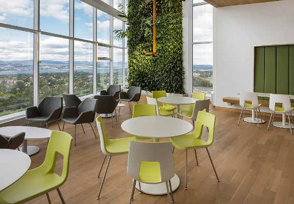 découvrez les avantages de la biophilie à paris 5 : amélioration du bien-être, augmentation de la productivité et création d’espaces de vie plus naturels. adoptez la nature en ville pour une qualité de vie supérieure !