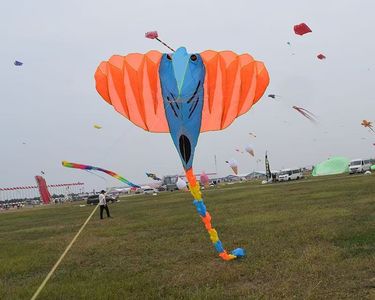 découvrez les plus beaux cerfs-volants à paris 75005. conseils, idées d'achat et spots pour faire voler votre cerf-volant dans le 5e arrondissement. idéal pour une sortie en famille !