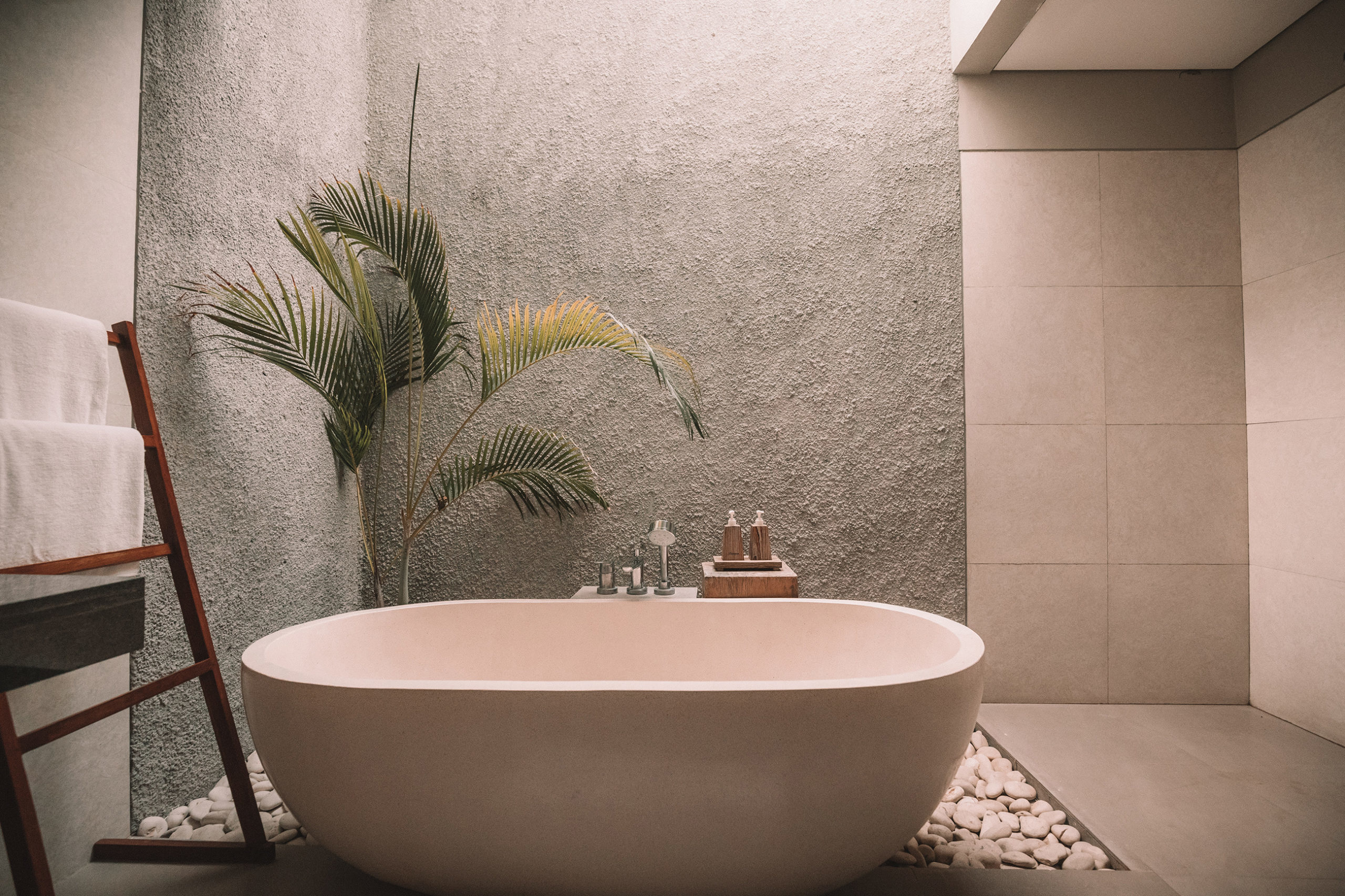 découvrez les meilleures plantes pour salle de bain à paris : conseils, astuces et sélection pour une ambiance verte et rafraîchissante dans votre intérieur urbain.