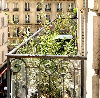 découvrez nos conseils et astuces pour sublimer votre balcon à paris 5. aménagement, décoration et idées originales pour transformer votre extérieur en un espace agréable et tendance.