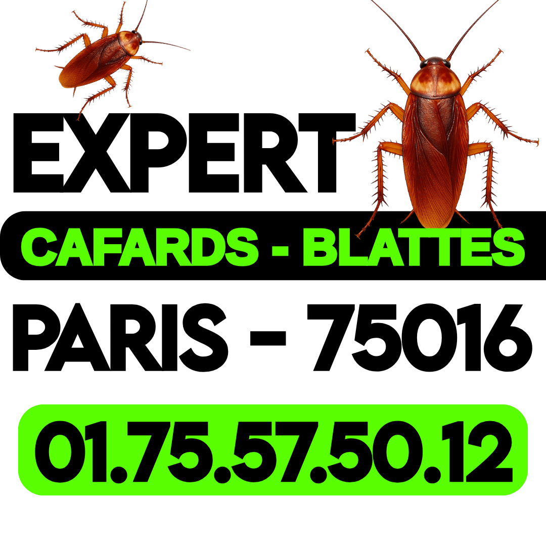 à paris 75005, profitez d’un traitement professionnel des murs pour prévenir l’humidité, la moisissure et renforcer l’isolation de votre intérieur. service rapide et efficace.