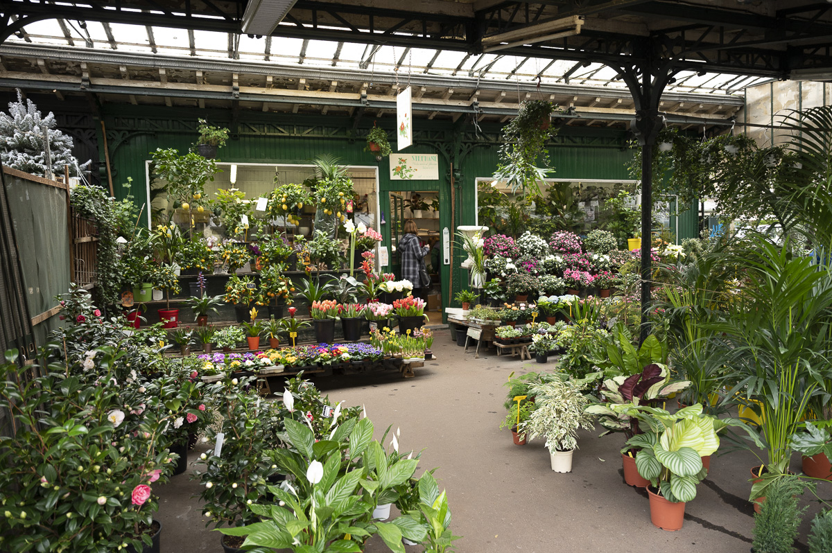 découvrez les étapes clés de la rénovation du marché aux fleurs à paris : modernisation, valorisation du patrimoine et nouveaux services pour les visiteurs au cœur de la capitale.