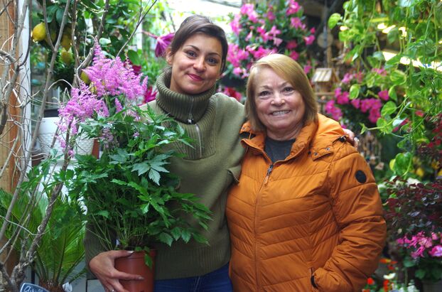 découvrez tout sur la rénovation du marché aux fleurs de paris : modernisation, préservation du patrimoine et nouveautés pour les passionnés de fleurs au cœur de la capitale.