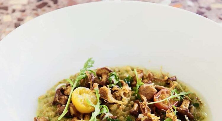 découvrez kitchen ter(re) à paris, une escapade italienne authentique où saveurs et convivialité se rencontrent pour un voyage culinaire unique.