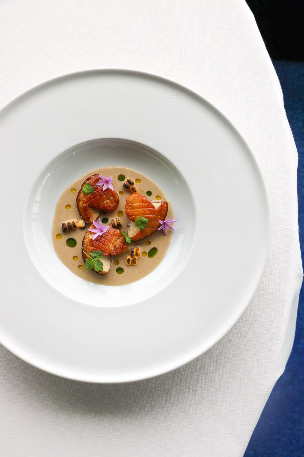 découvrez la tour d'argent, symbole emblématique de la cuisine française à paris 75005, offrant une expérience gastronomique unique alliant tradition et raffinement.