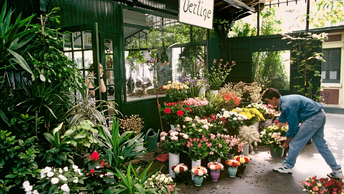 découvrez le charme du marché aux fleurs de paris, un lieu vibrant où la beauté des fleurs fraîches rencontre l'ambiance unique de la capitale française.