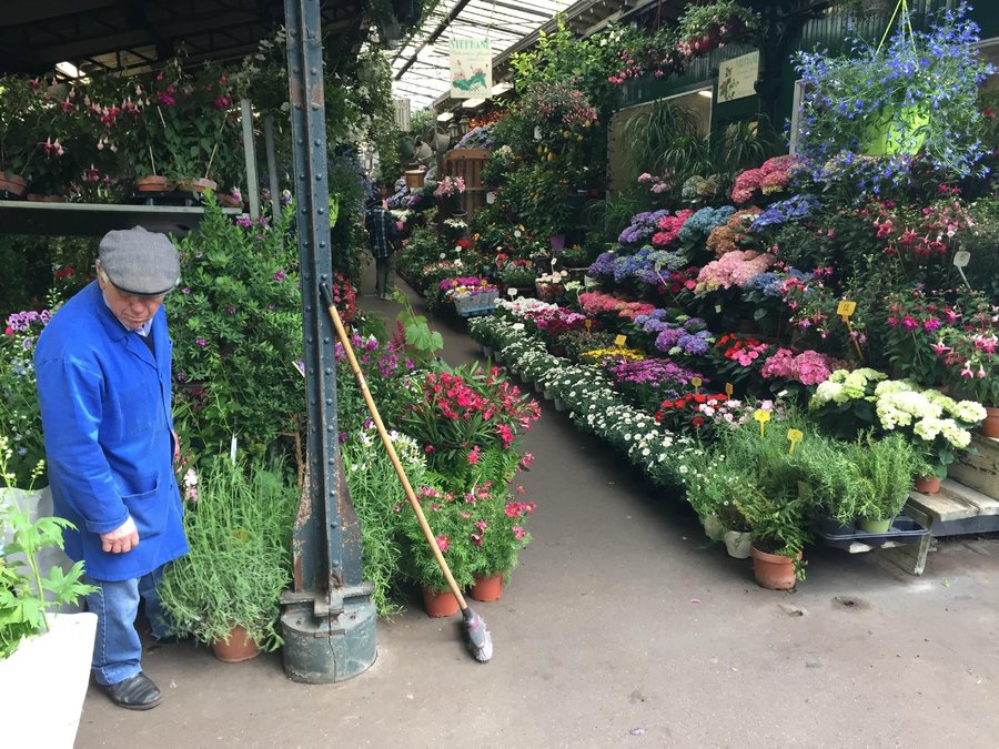 découvrez le marché aux fleurs de paris, un lieu emblématique où se mêlent couleurs, parfums et ambiance chaleureuse au cœur de la capitale.