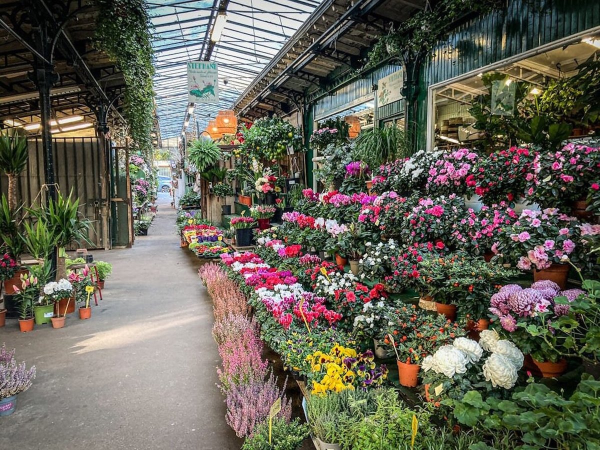 découvrez le marché aux fleurs de paris, un lieu emblématique où se mêlent couleurs et parfums pour une promenade fleurie au cœur de la capitale.