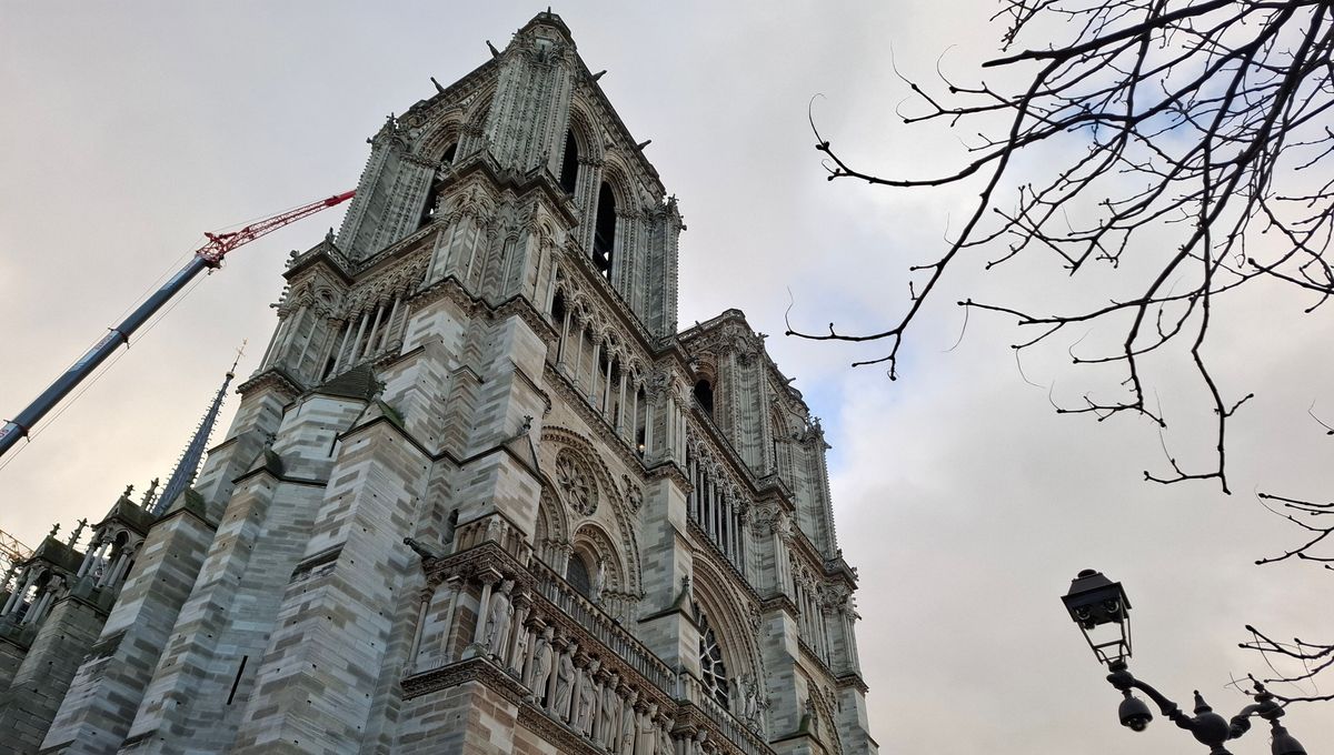 découvrez les nouveaux travaux de restauration de notre-dame et comment vous pouvez contribuer à la préservation de ce monument historique grâce à notre appel à la générosité.
