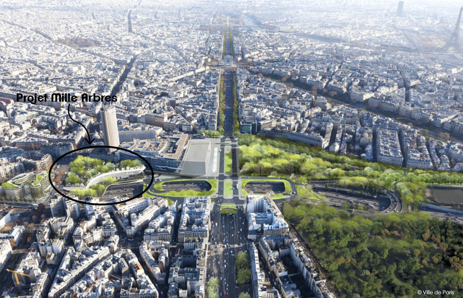 découvrez le projet controversé menaçant 11 arbres centenaires dans le 19e arrondissement de paris, une lutte pour préserver le patrimoine naturel au cœur de la ville.