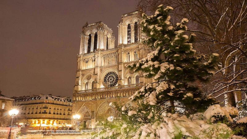 découvrez le marché de noël 2025 à notre-dame, paris 5e : une ambiance festive unique, des stands artisanaux et des animations pour toute la famille au cœur de la capitale.