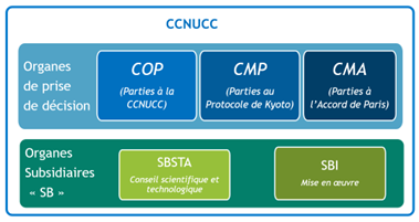 découvrez les normes innovantes mises en place par le conseil de paris pour lutter efficacement contre le changement climatique et favoriser un avenir durable.