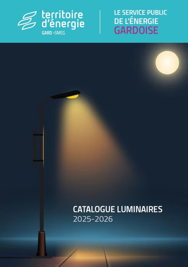 paris investit 704 millions d'euros pour moderniser l'éclairage public, améliorant ainsi la qualité, l'efficacité énergétique et la sécurité dans la capitale.