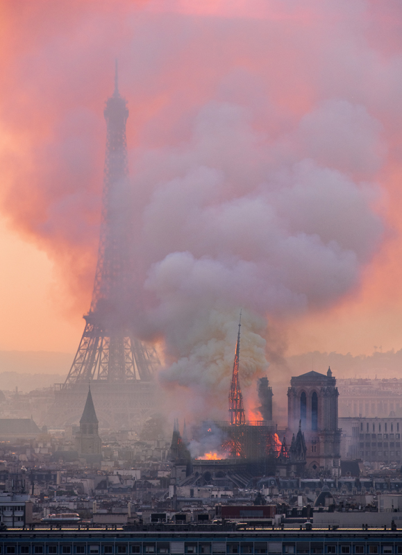 découvrez les réactions des parisiens face au projet de métamorphose du parvis de notre-dame, entre espoirs et inquiétudes pour ce lieu emblématique.