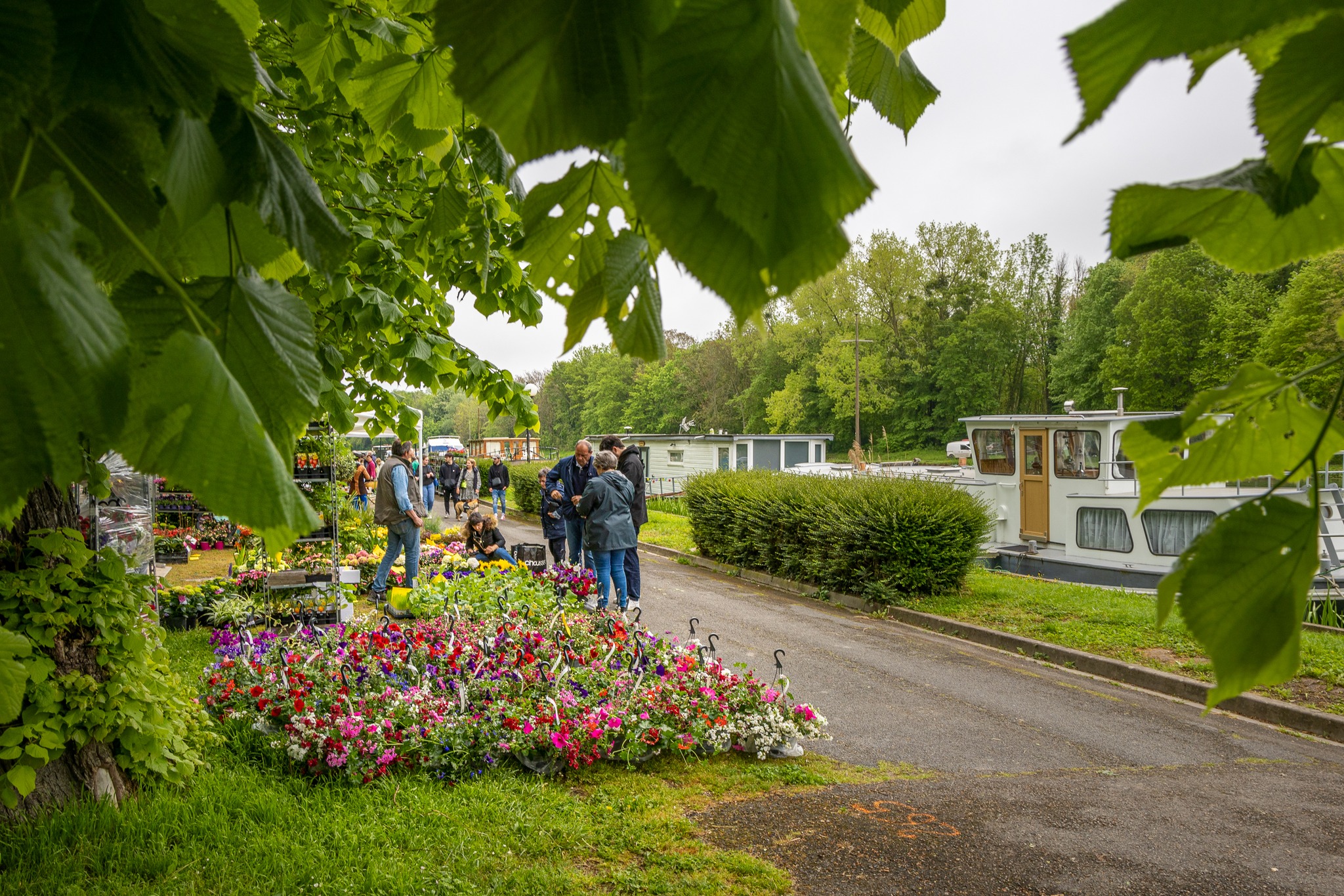 un chantier de 8 millions d'euros lancé pour rénover et sauver le marché aux fleurs, assurant son avenir et son attractivité.