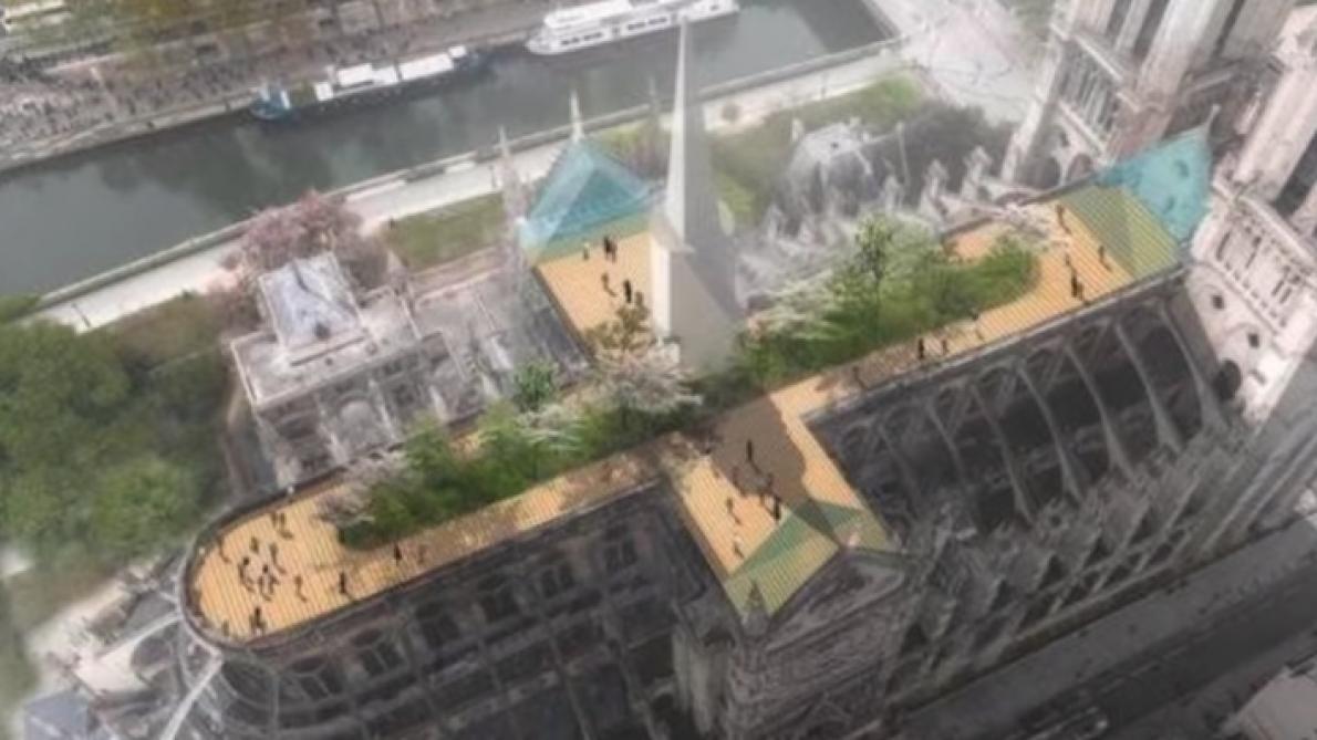 découvrez la métamorphose des jardins de notre-dame à paris, un espace qui allie histoire, nature et modernité au cœur de la capitale.