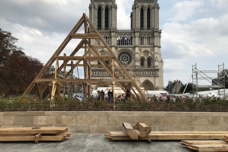 découvrez la métamorphose des jardins de notre-dame à paris, un espace verdoyant rénové qui allie histoire, nature et modernité en plein cœur de la capitale.