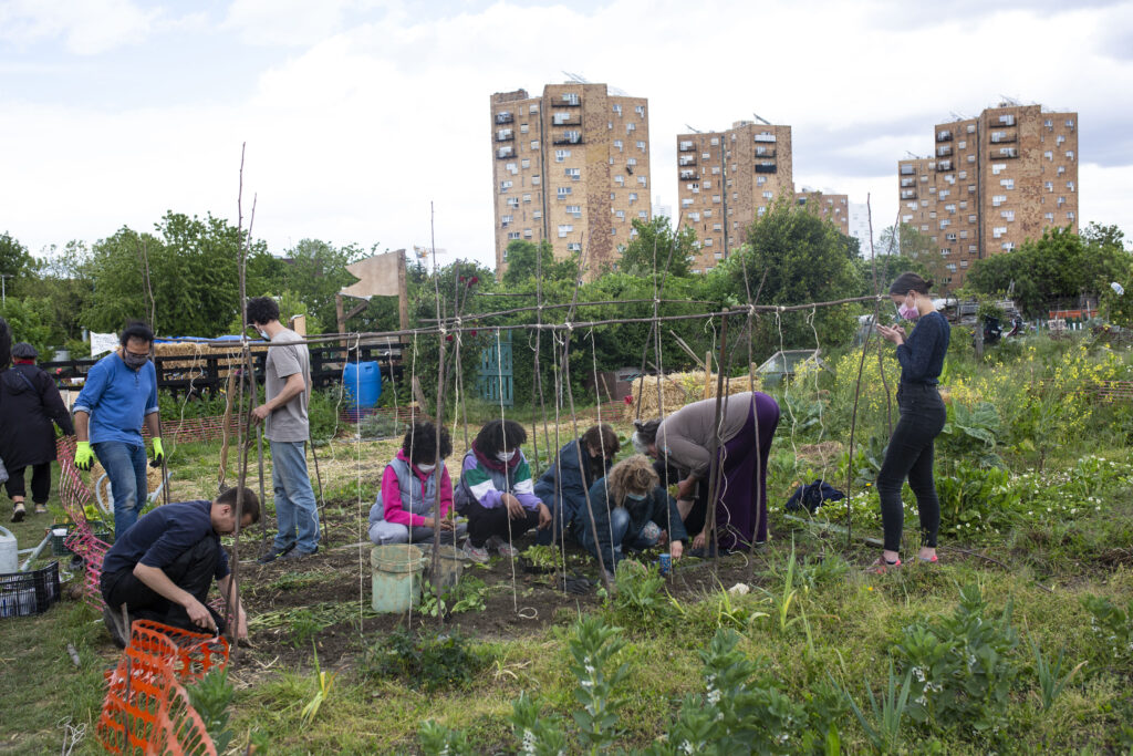 à paris, les habitants se mobilisent pour défendre un jardin partagé menacé, symbole de convivialité et de nature en milieu urbain.